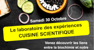 Le laboratoire des expériences – cuisine scientifique